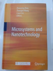Microsystems and nanotechnology