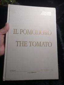 il pomodoro the tomato
中文翻译书名（援助西红柿）