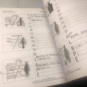 3D解剖和运动人体科学培训手册
