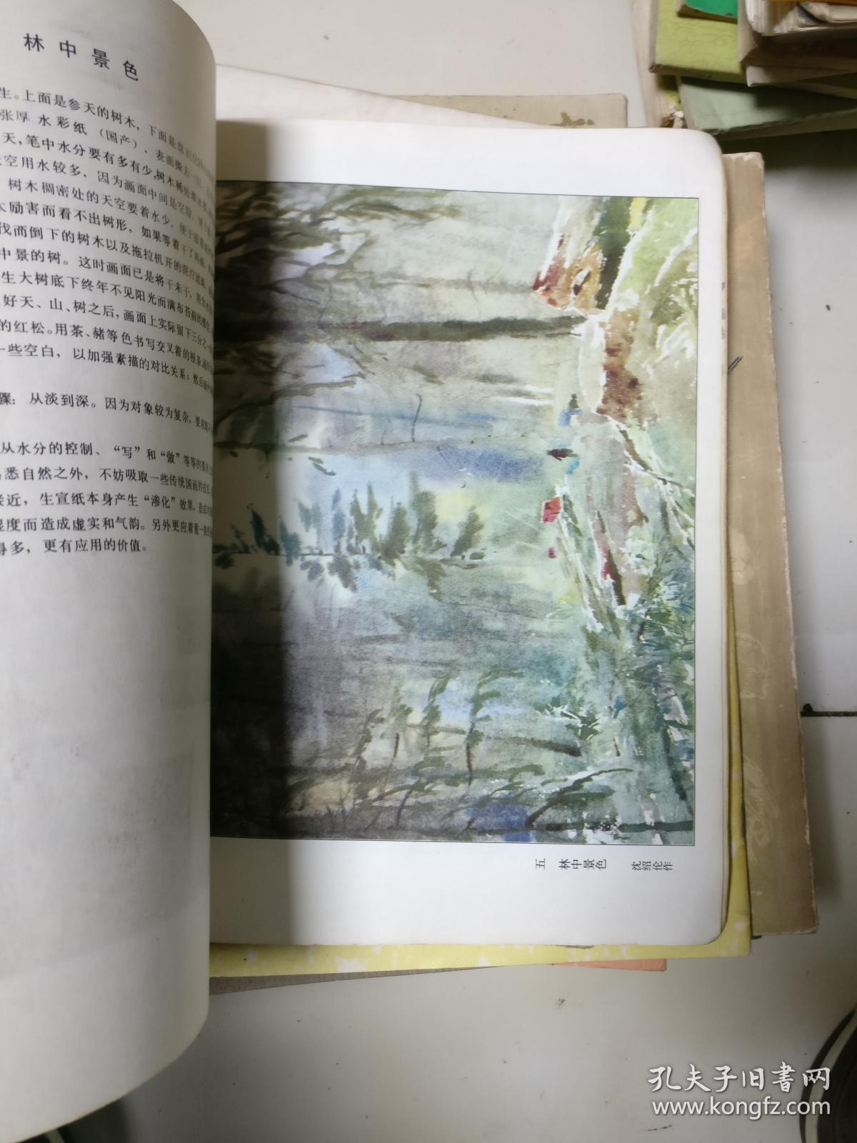水彩画技法           16开人民美术出版社，一版一印，8品自然旧