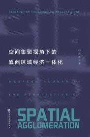 空间集聚视角下的滇西区域经济一体化     和燕杰 著