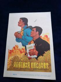 宣传画《 朵朵葵花朝太阳颗颗红心向着党》1965年一版一印