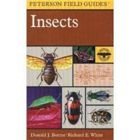 A Field Guide to Insects: America North of Mexico