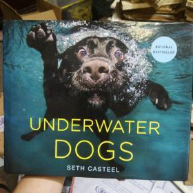 Underwater Dogs