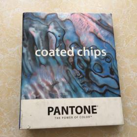 coated chips【精装】