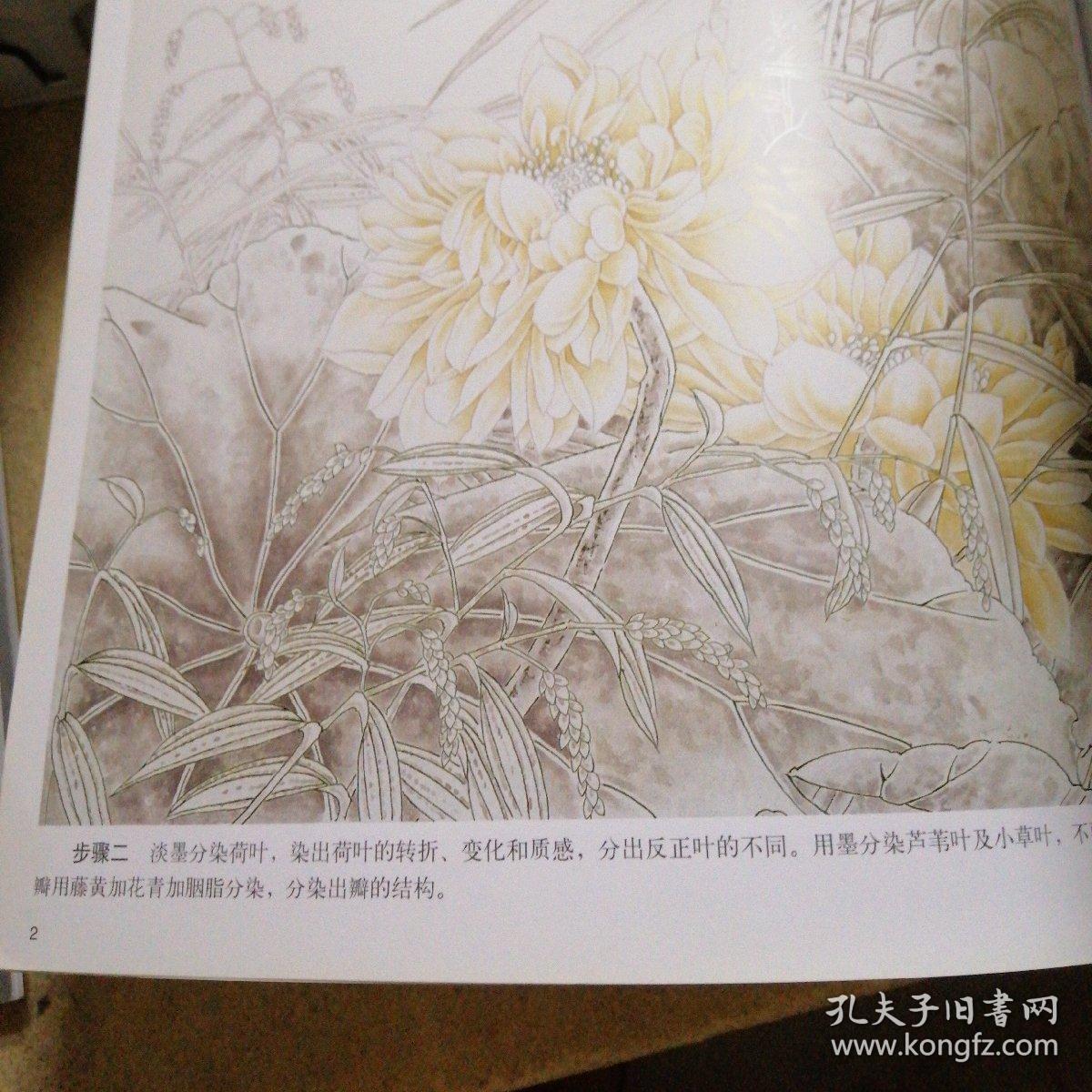 中国画技法丛书——工笔花卉翎毛画法（二）