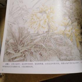 中国画技法丛书——工笔花卉翎毛画法（二）
