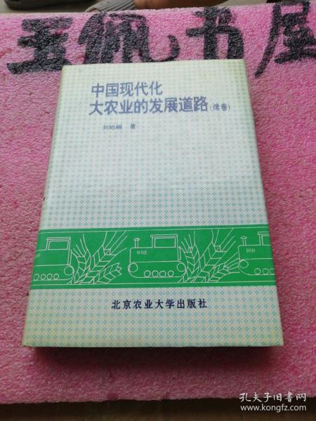 中国现代化大农业的发展道路.续卷