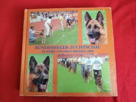 Bundessieger-zuchtschau in Wort und Bild Karlsruhe 2000 德国 萨巴特犬彩色图册【德文原版】