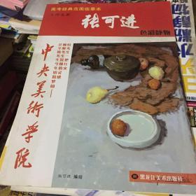 高考经典范画临摹本：张可进色彩静物