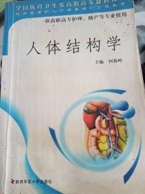 人体结构学