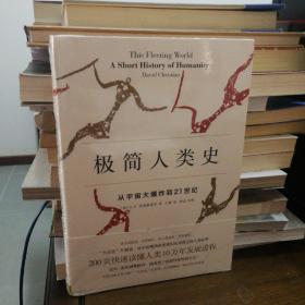极简人类史：从宇宙大爆炸到21世纪