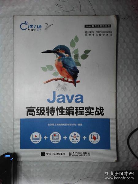 Java高级特性编程实践 9787115477927