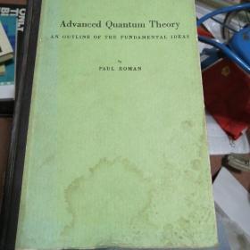 先进的量子理论英文版