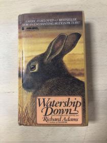 WATERSHIPDOWN