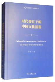 时代变迁下的中国文化消费/中国文化产业研究丛书