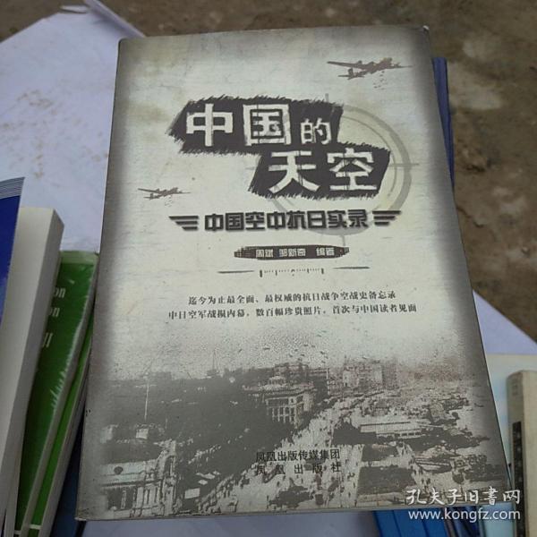 中国的天空：中国空中抗日实录