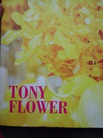 Tony Flower 花艺画册 书籍插花艺术花朵装饰软装设计
