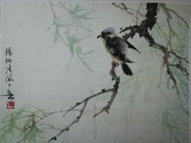 老画片3幅花鸟，长约36.宽约23，印刷