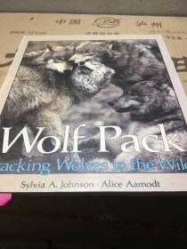 Wolf pack Tracking Wolves in the Wild