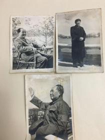 毛主席老照片多年保存的照片