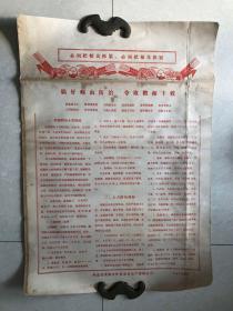 1978年四月 河北省供销合作社农业生产资料有限公司《搞好病虫防治 夺取粮棉丰收》2开海报一张