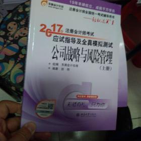 东奥会计在线 轻松过关1 2017年注册会计师考试教材辅导 应试指导及全真模拟测试：公司战略与风