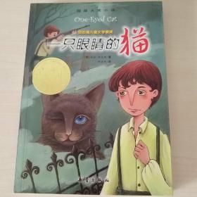 全新正版 一只眼睛的猫 国际大奖小说 9787530747360