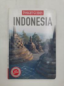 Indonesia Insight Guide 印度尼西亚指南