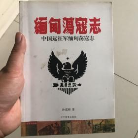 中国远征军缅甸荡寇志