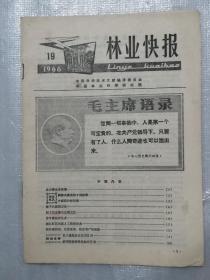 林业快报  1966年第19期