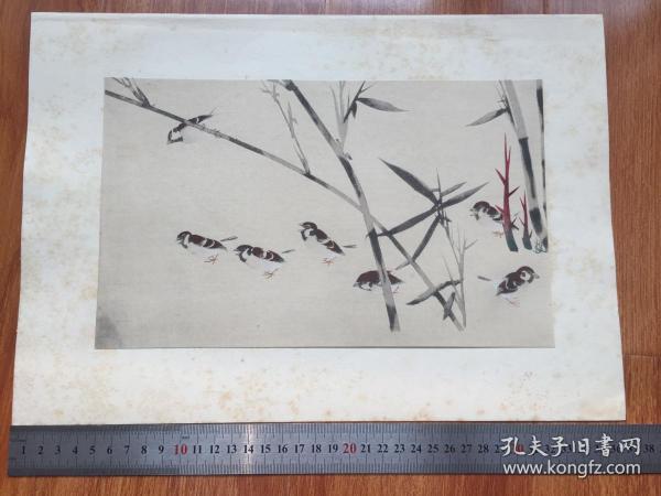 ※长泽芦雪※竹雀图※1926年限量发行高级套色木版画※