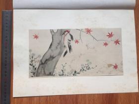 ※抱一上人※秋郊啄木鸟图※1926年限量发行高级套色木版画※