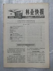 林业快报  1966年第10期