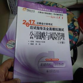 东奥会计在线 轻松过关1 2017年注册会计师考试教材辅导 应试指导及全真模拟测试：公司战略与风