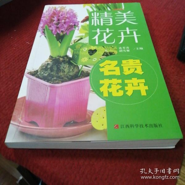 精品花卉：名贵花卉