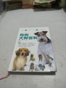 狗狗犬种百科