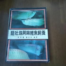 龙吐珠与锦鲤鱼饲养