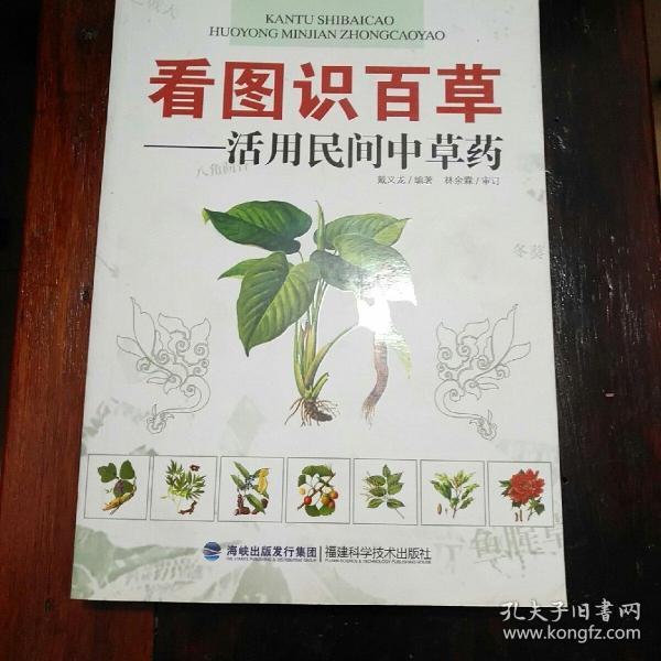 看图识百草：活用民间中草药