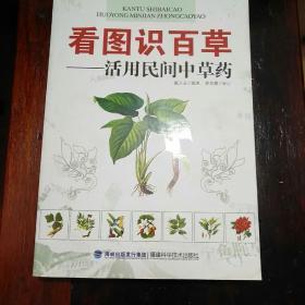 看图识百草：活用民间中草药