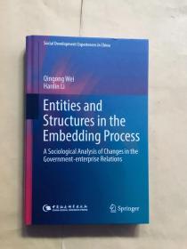 Entities and structures in the Embedding Process