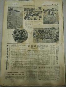 报纸  大众日报1975年7月14日（4开四版）；
坚定的步伐  胜利的成果；
烟台地区小麦丰收；