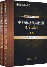 电力市场风险控制理论与应用（上卷、下卷）