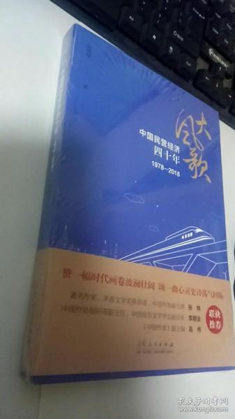 大风歌：中国民营经济四十年（1978—2018）