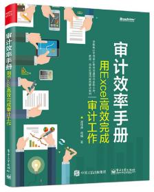 审计效率手册：用Excel高效完成审计工作