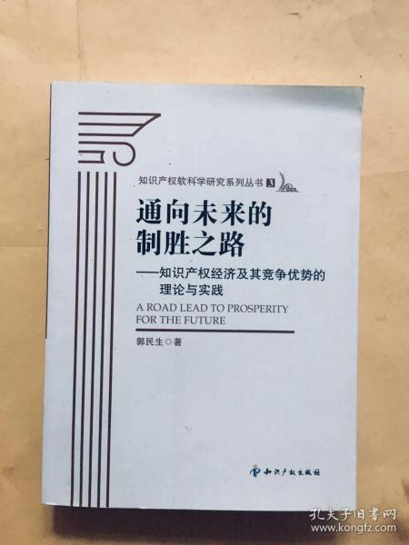 通向未来的制胜之路：知识产权经济及其竞争优势的理论与实践