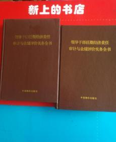 领导干部任期经济责任审计与业绩评价实务全书