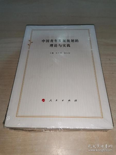 中国青年发展规划的理论与实践