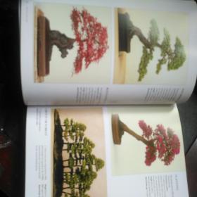 THE COMPLETE PRACTICAL ENCYCLOPEDIA OF BONSAI