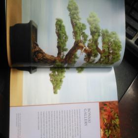 THE COMPLETE PRACTICAL ENCYCLOPEDIA OF BONSAI